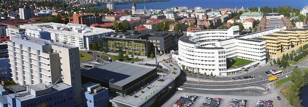 Jönköping University  - Svédország